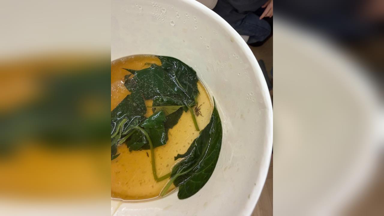 難接受! 台中米其林麵店"燙青菜有蜘蛛屍" 顧客傻眼