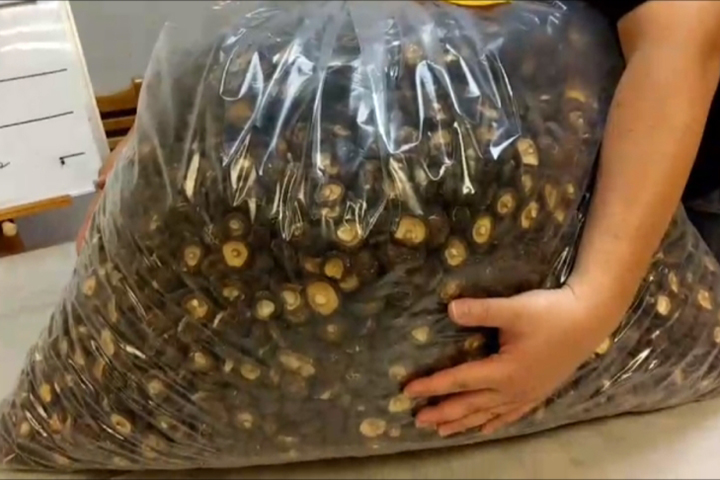 男子夾帶18公斤中國香菇入境 通通遭沒收