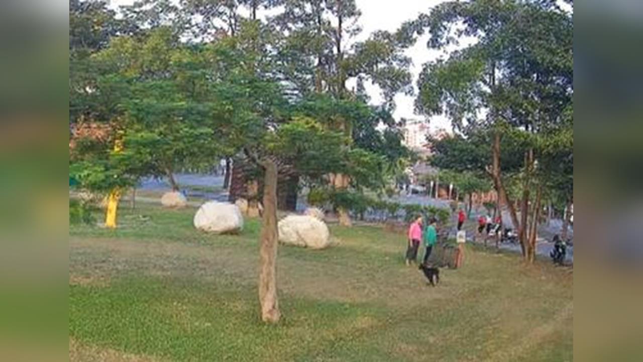 流浪狗霸占公園沙坑！　公所誘捕遭愛狗人士「開籠放生」