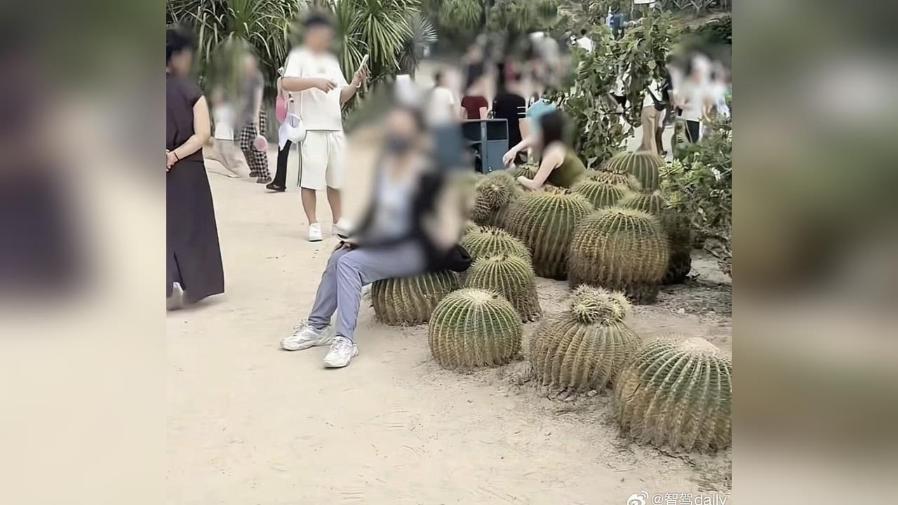 植物園多肉區驚見「金屬翹臀」？網一看笑翻：無情工商多肉植物