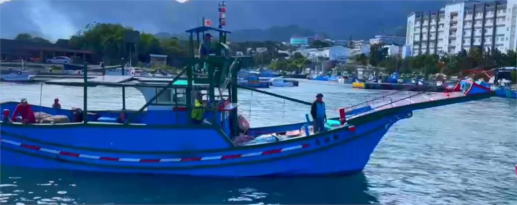 台東成功鎮「旗魚季競賽」　最重旗魚逾４０１公斤破紀錄