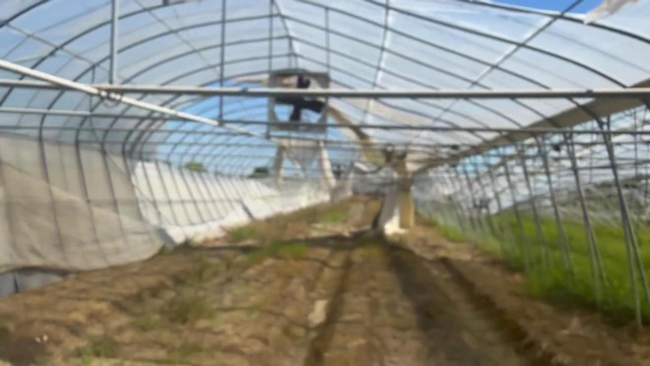 丹納斯災損溫室至今未移除　縣府：部分為在都市計畫內