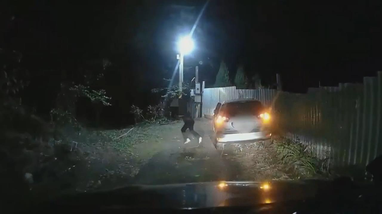 新北警匪追逐！疑毒駕撞警車　副駕落網、駕駛棄車逃逸