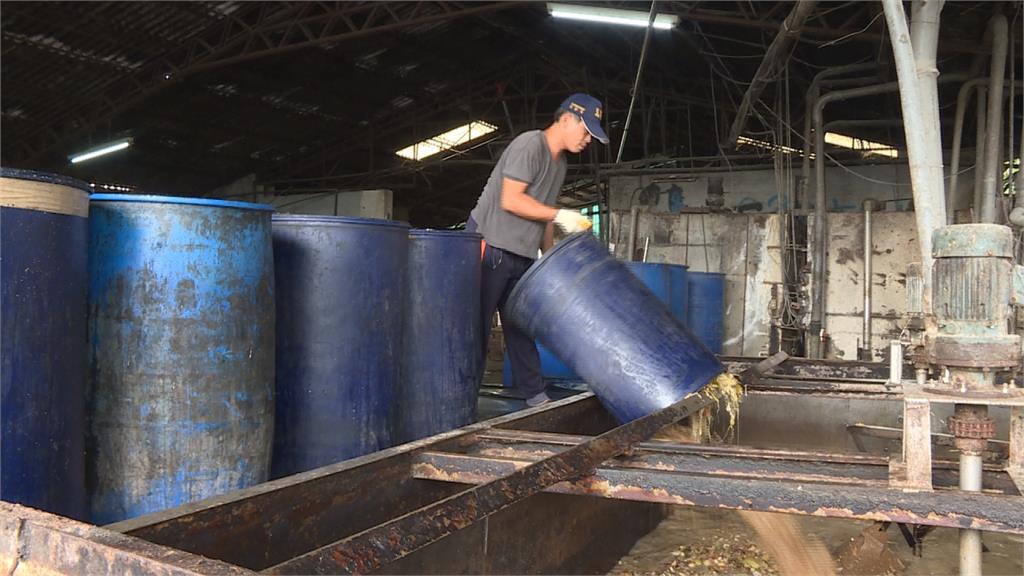 阻絕「非洲豬瘟」傳遞！農委會輔導豬農「飼料養豬」