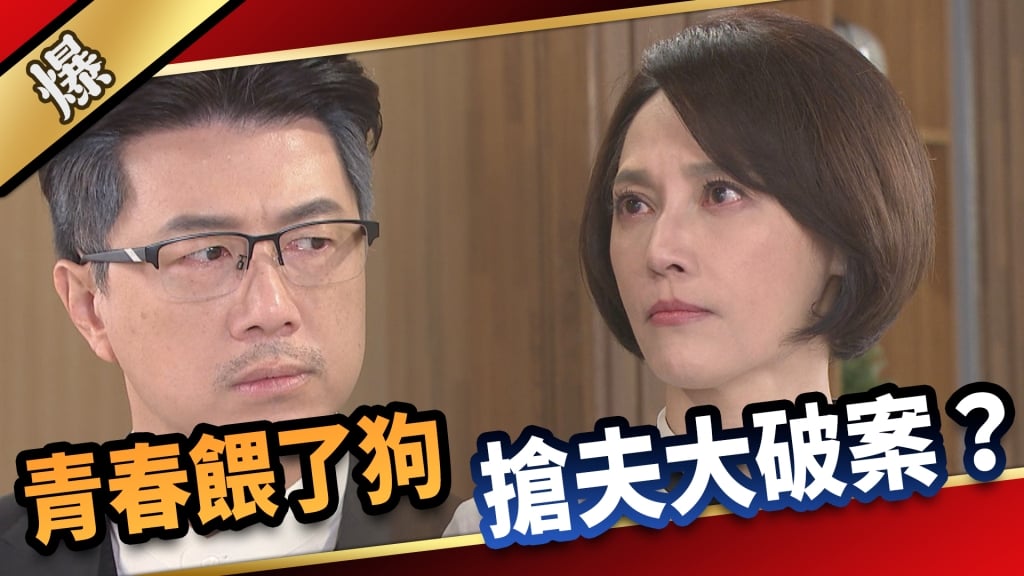 《愛的榮耀-EP36精采片段》青春餵了狗  搶夫大破案？  