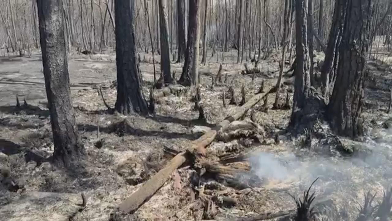 美國天災不斷！喬治亞州野火狂燒　奧克拉荷馬州遭龍捲風襲擊
