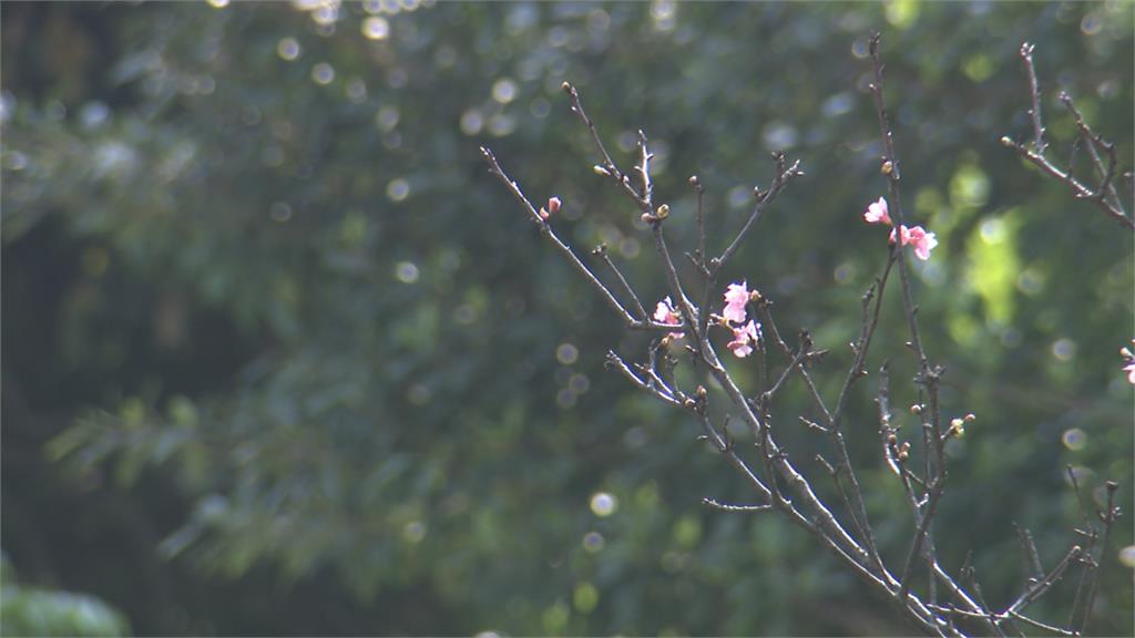 [2019/12/27]冷氣團續發威！北台灣全天高溫不超過20度