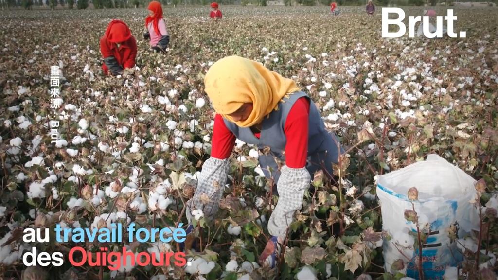 全球／不穿新疆「血棉花」！美國禁新疆爭議紡織品進口