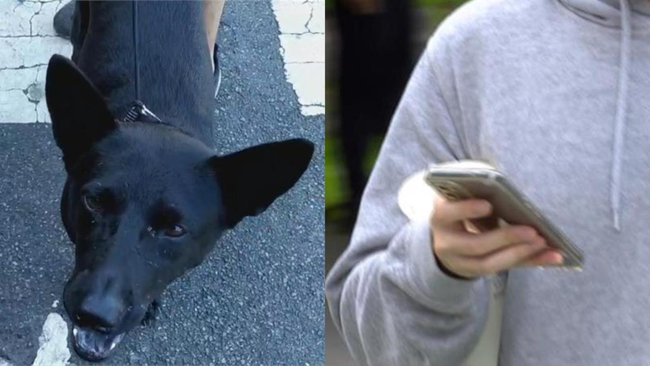 15歲女兒遛狗竟「遭持刀強擄」藏荒地　機警爸靠「手機1功能」勇救人！