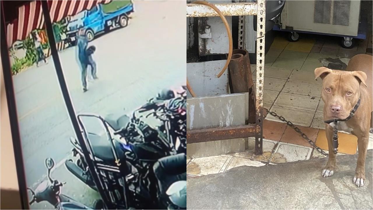 高雄移工失聯4年遇警「棄車狂逃」！躲機車行誤闖「比特犬家」狼狽影片流出…