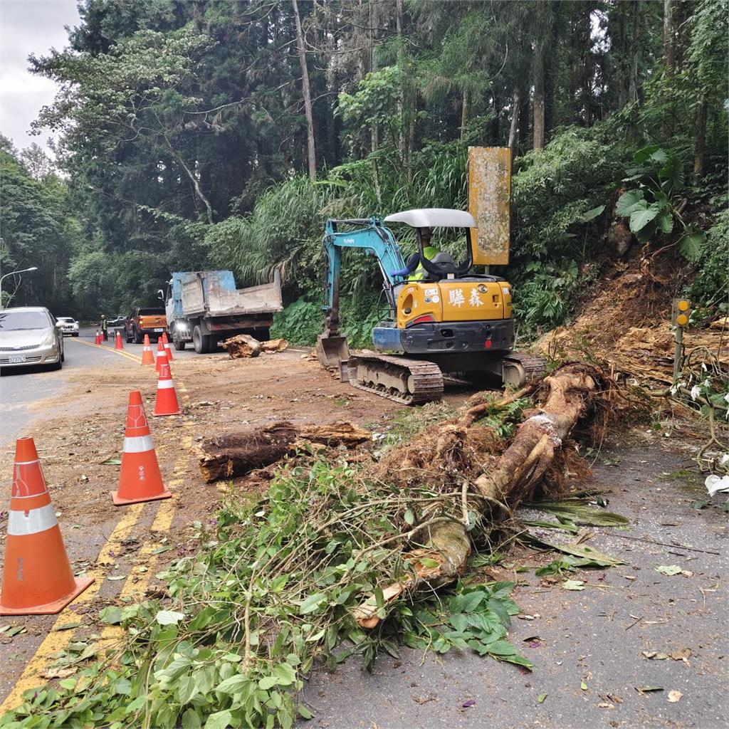快新聞／畫面曝！南投鹿谷路樹倒塌　壓毀遊覽車釀4傷