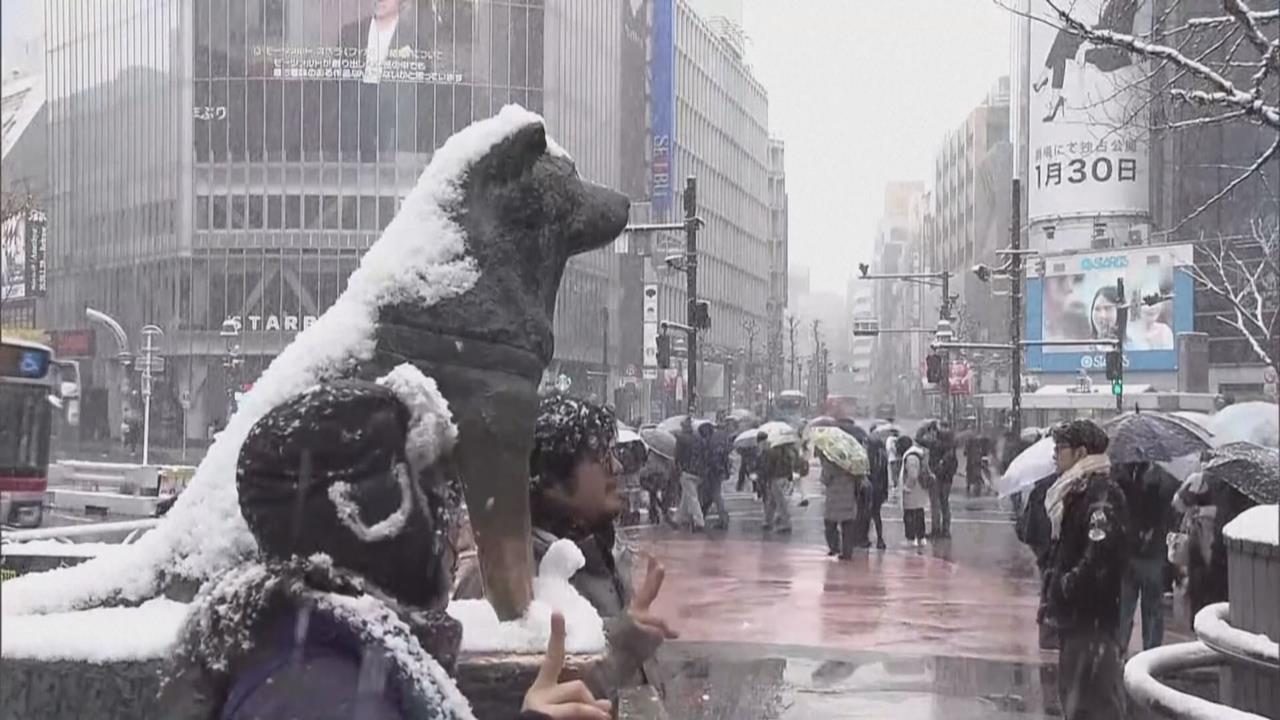 日本本週回暖溫差達10～20度　恐釀積雪迅速融解憂大規模崩塌