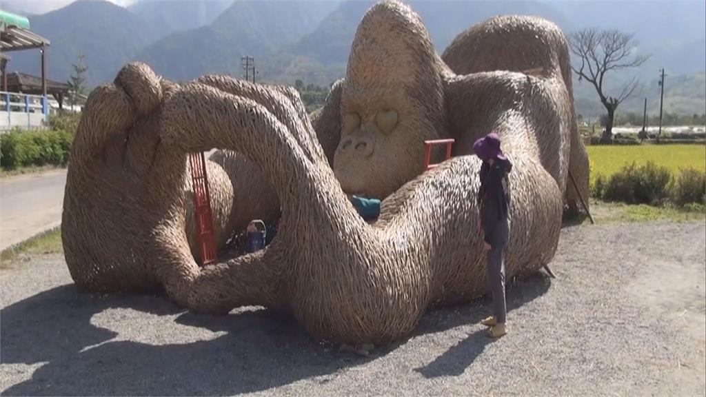 花蓮稻草藝術季 6米高大猩猩超霸！氣大型動物稻草藝術太好拍！