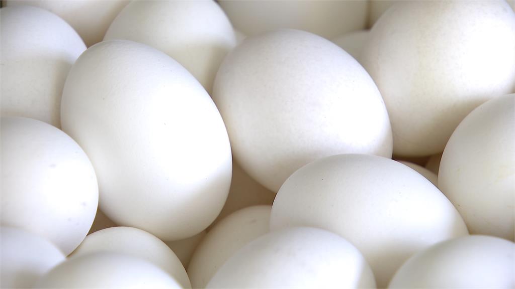 中秋用蛋高峰！鴨蛋產量比往年同期少三成