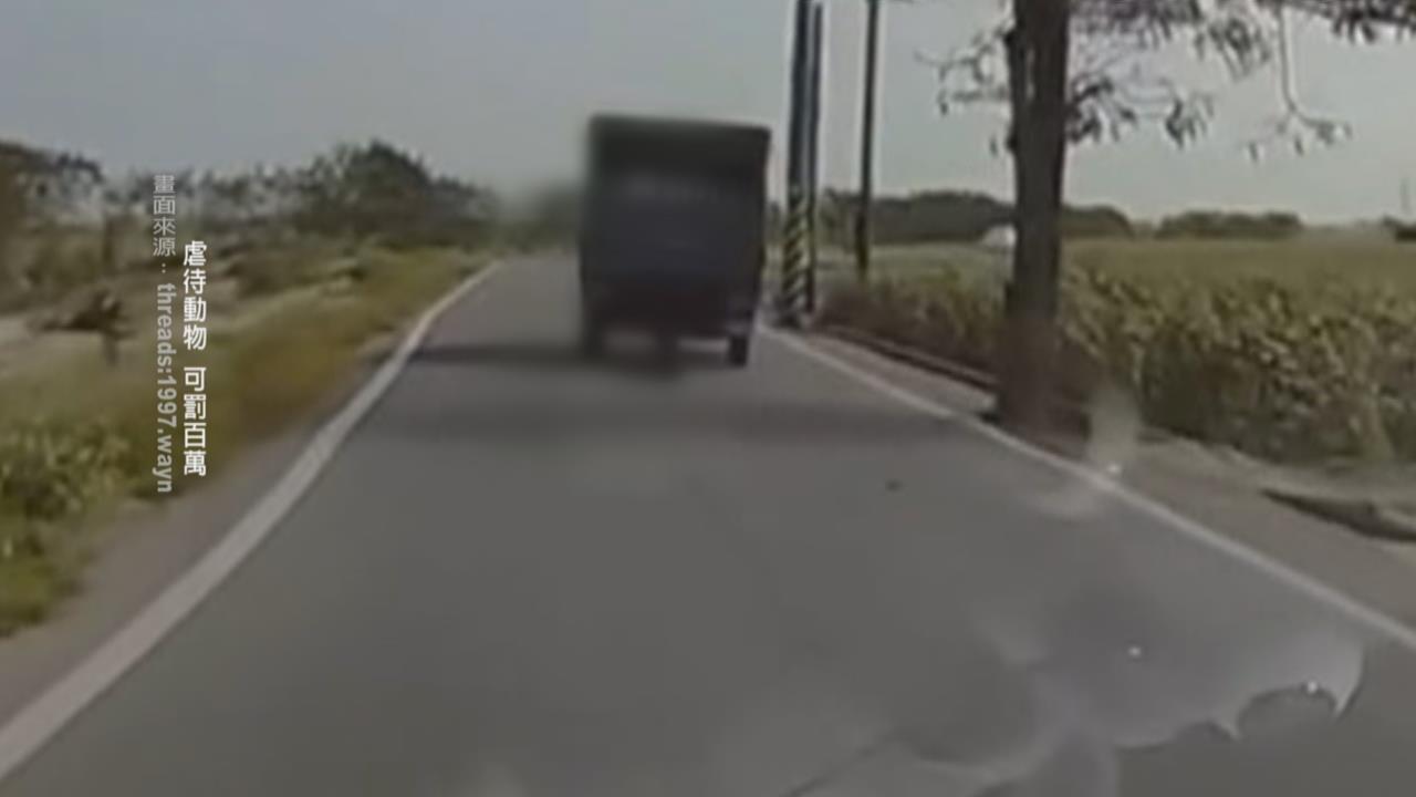 雲林黑狗遭貨車"活活拖行亡" 飼主最重關2年罰2百萬