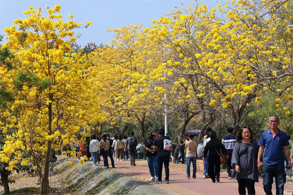 「潮風鈴•野餐音樂市集」3/8日起登場 知名歌手、樂團輪番登台