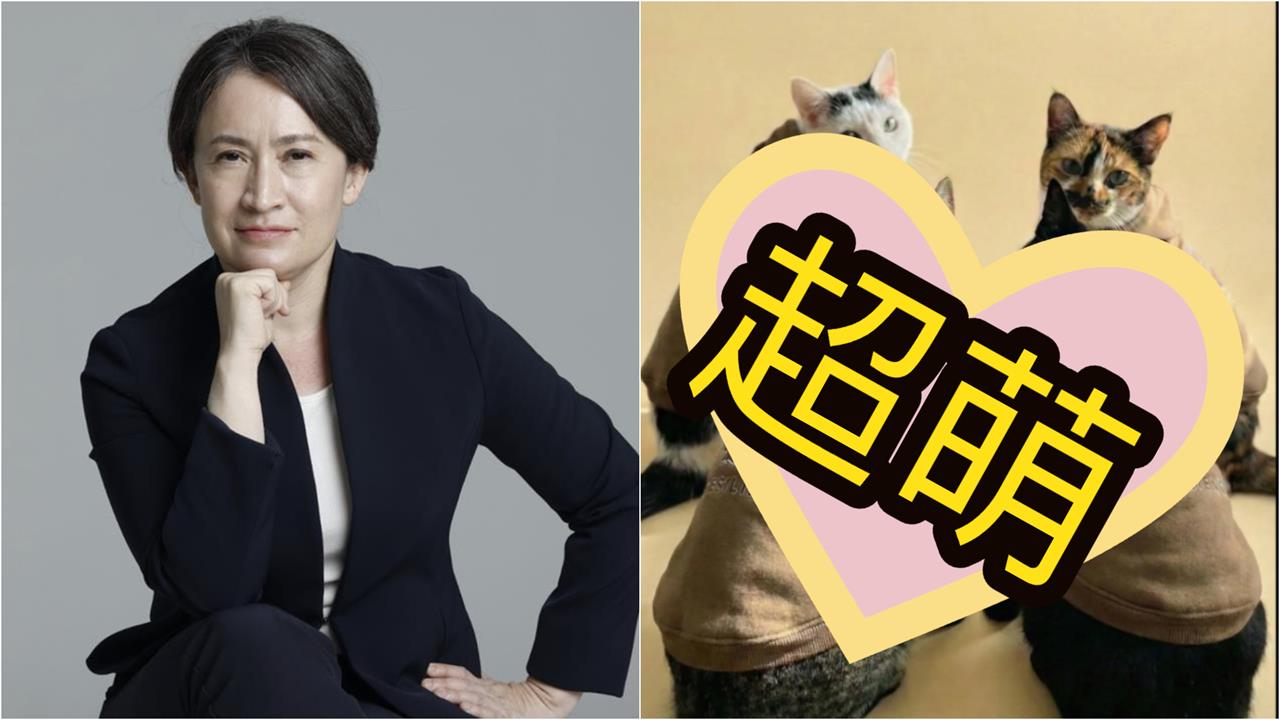 蕭美琴家中4寶「塞進迷你版戰貓帽T」萌翻！突曬「換裝照」網讚：美少女戰士