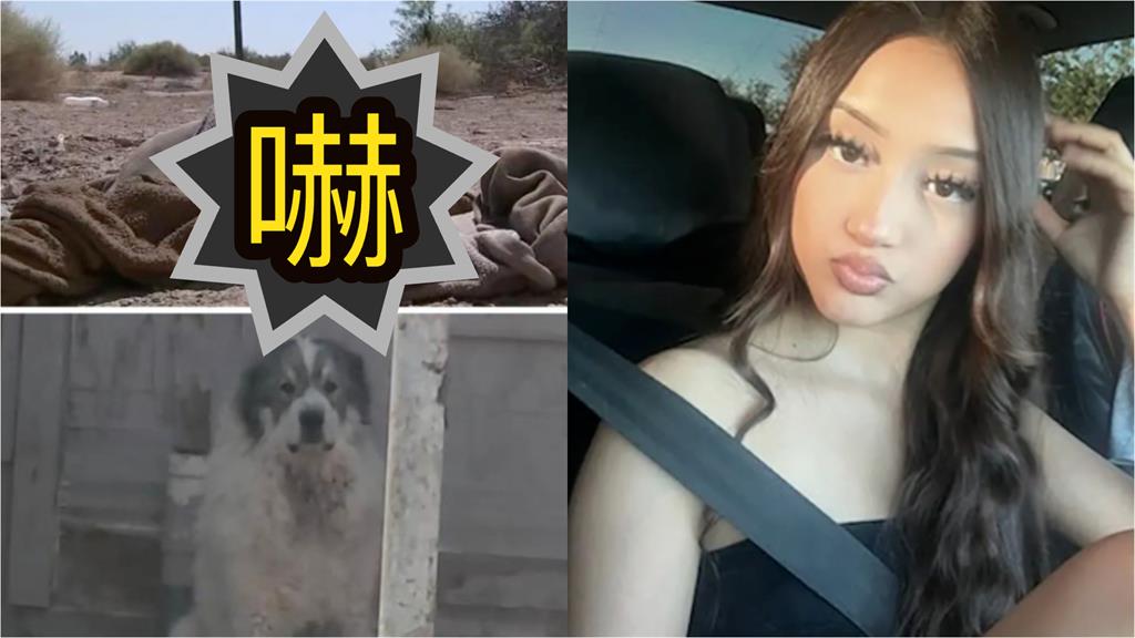 17歲少女慢跑「衝出16隻巨犬」狂咬猛追！媽認不出「被問1句」哭了