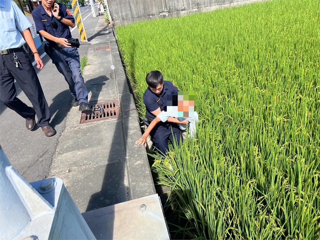 八旬男子揮手招公車！　重心不穩「倒栽蔥」摔落一米深稻田