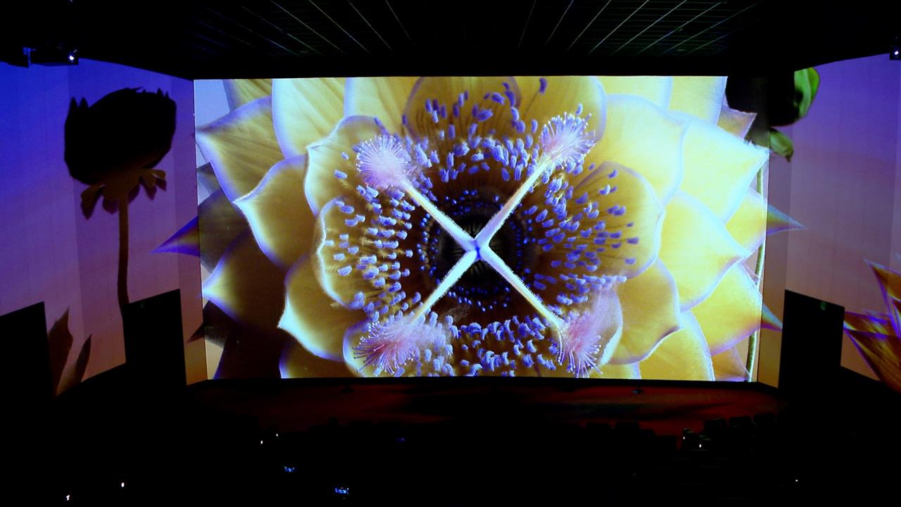 看院線電影去處再+１　知名影城進駐大巨蛋　打造三間獨特影廳