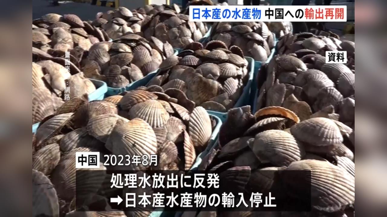 中日關係升溫！　中國宣布「禁日本水產品」進口