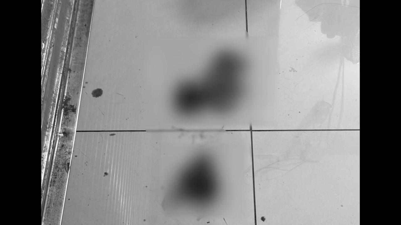 到底是誰？　新莊頭前里長辦公室遭潑魚內臟　現場血跡斑斑臭氣沖天