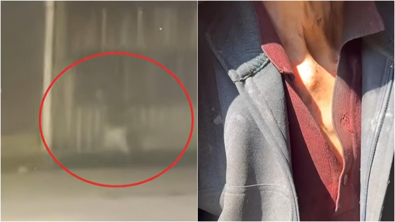 桃園87歲老父運屍「把兒拋溪中」！棄屍原因「驚吐1句」背後藏心酸內幕