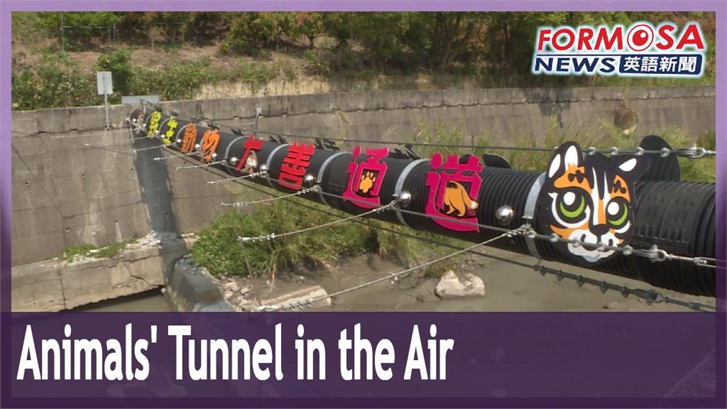 Miaoli builds air-tunnel for animals to help them avoid danger of roads