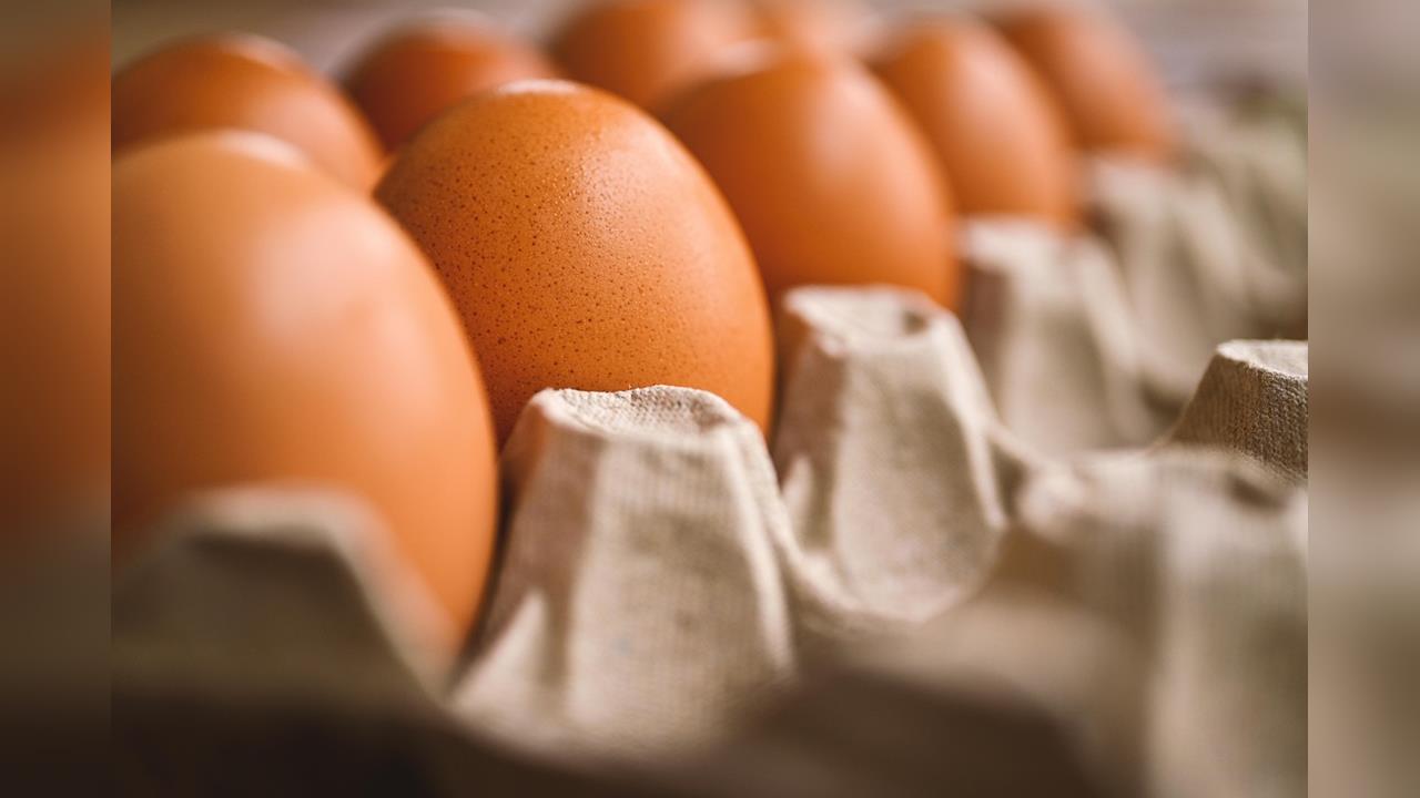 11月CPI創逾4年半最低水準　雞蛋漲幅近31個月最大