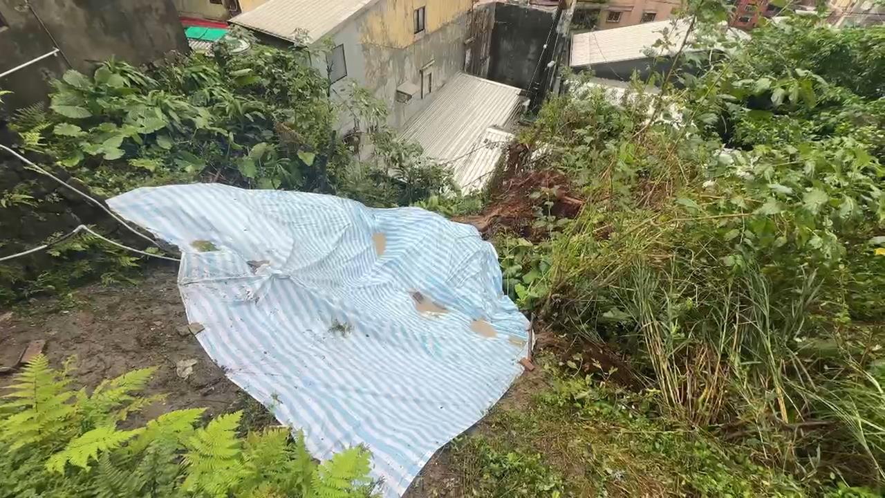 北台灣連日雨! 基隆50年老樹倒塌壓毀民宅雨棚
