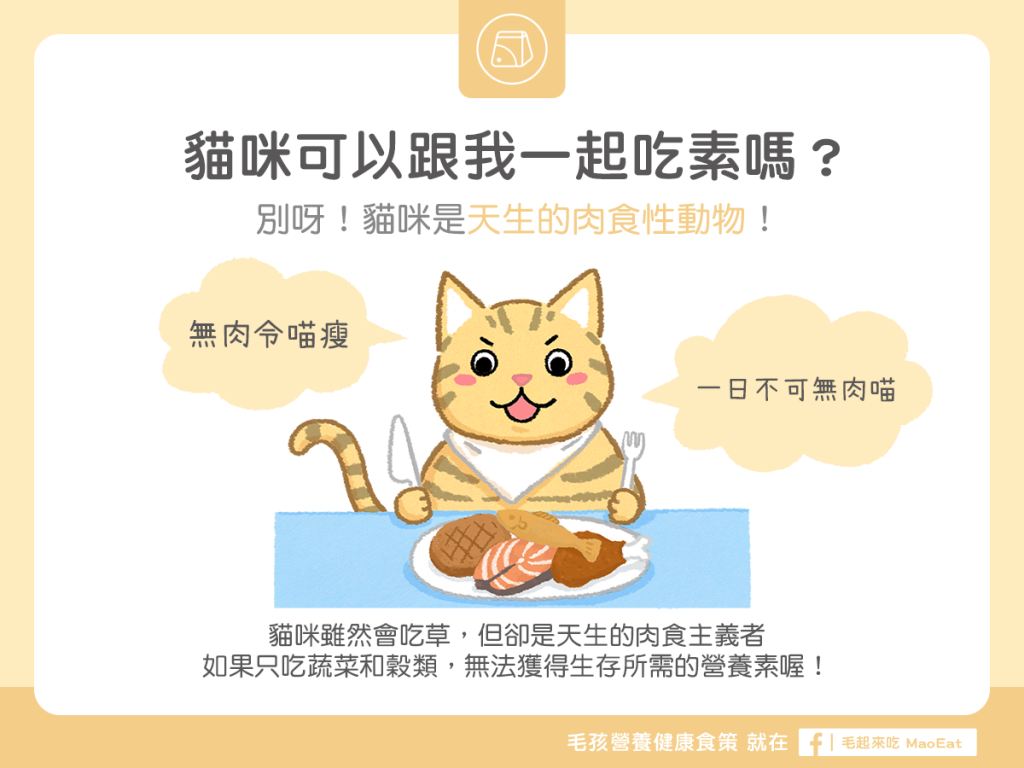 【汪喵餵養知識】貓咪可以吃素嗎？別！貓咪是天生肉食性動物！