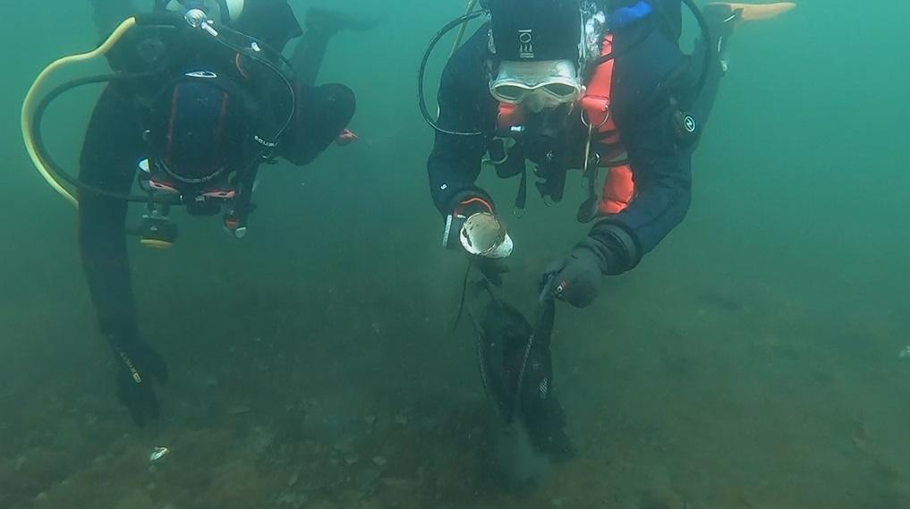 結合潛水興趣 丹麥生物學家擔任海底清道夫