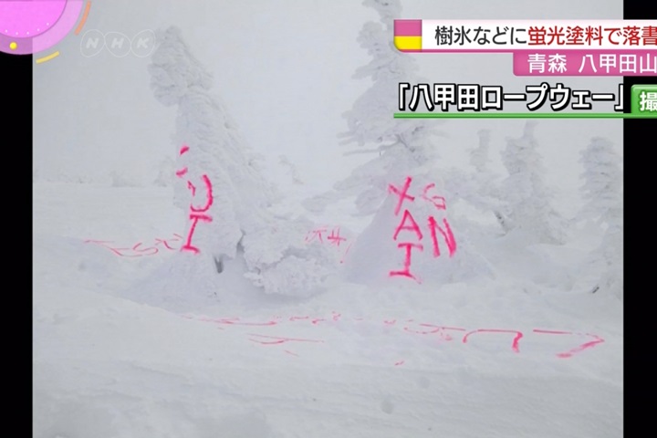沒品旅客！ 日本青森樹冰慘遭噴漆 ：「生日快樂」