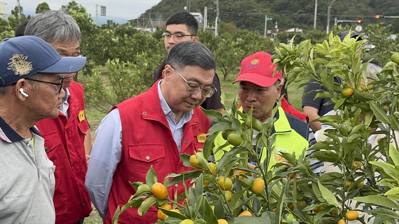 快新聞／「薔琵」重創宜蘭農作物　卓榮泰視察茂谷柑、金柑災損：全力協助農民
