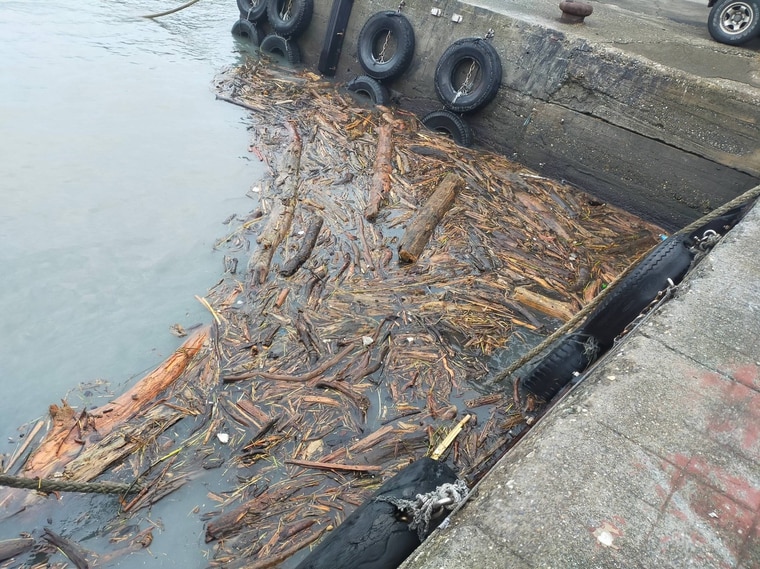 快新聞／台東豪雨引漂流木滯留　林管處：未公告前勿撿拾否則將被罰款