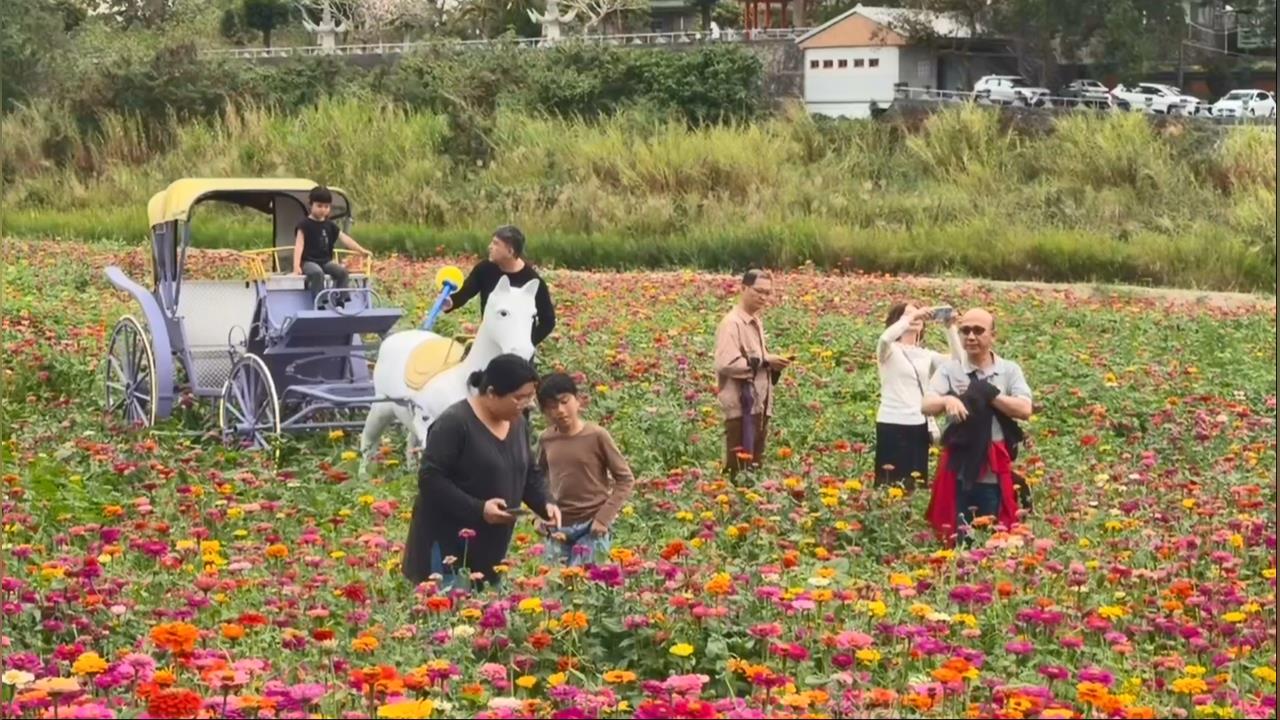 嘉義中埔八掌溪畔「春嬉風鈴」　中高空煙火、花海、市集吸民眾朝聖