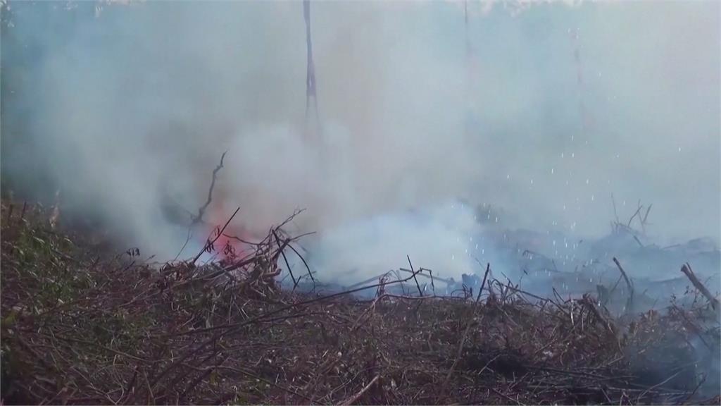 印尼面臨４年來最嚴重乾旱　野火燒掉近２７萬公頃山林