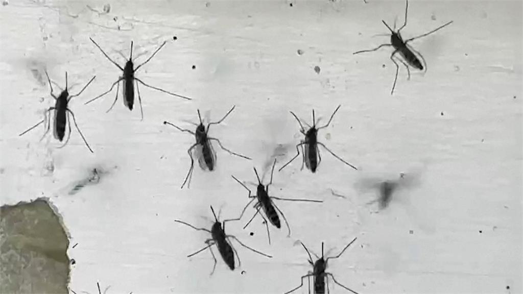 快新聞/防治登革熱關鍵期 環境部:風災後一週盡速清除容器積水