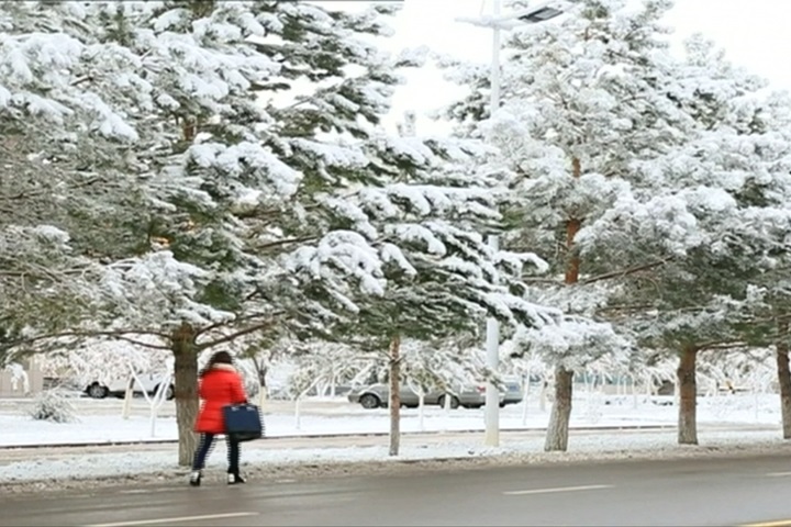 中國新疆大雪伴雨氣溫低 交通、採收大受影響
