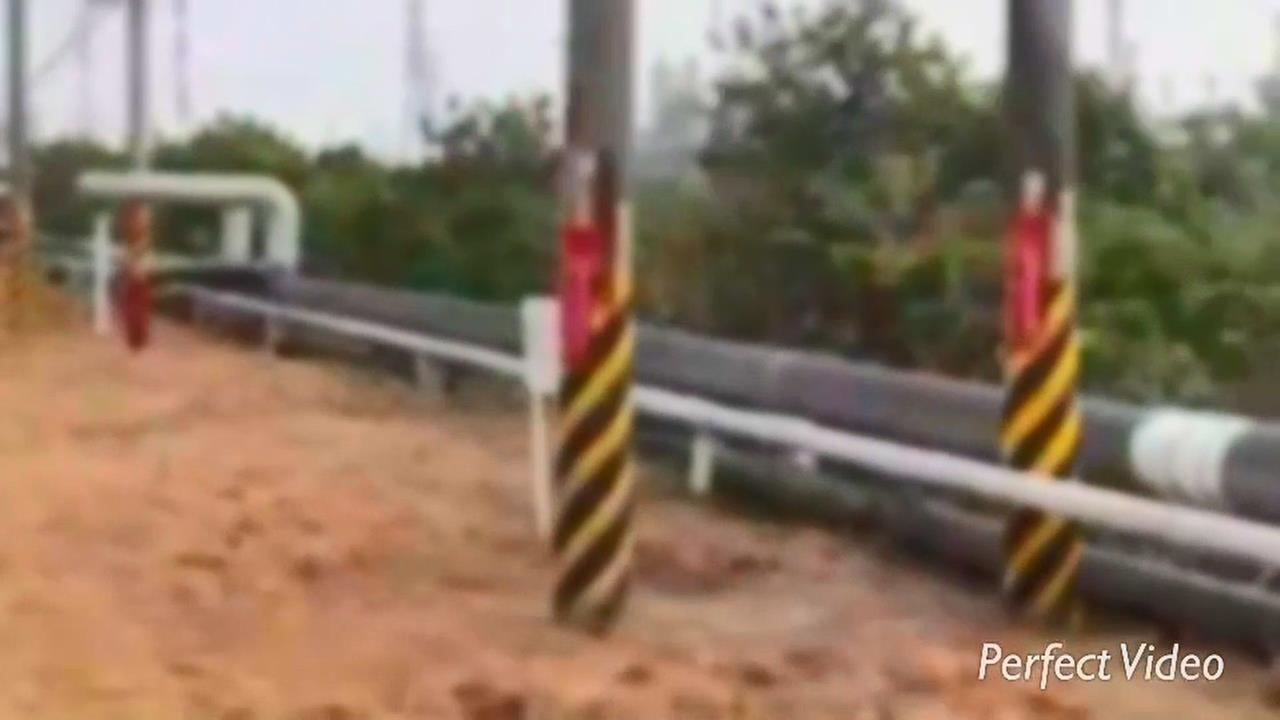 快新聞／「抓綠鬣蜥」慘觸電！高雄男2級燒燙傷送醫