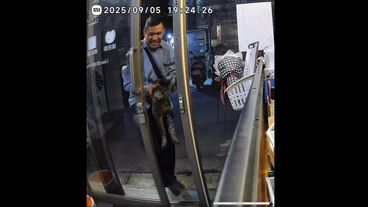 尋找超級暖男！　　店貓偷溜男子抓回　搬來三角錐花盆擋門防逃