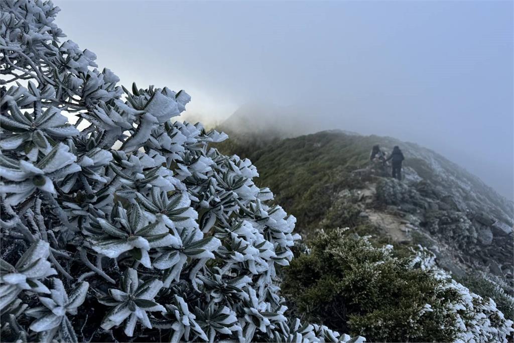冷氣團來襲!台北急速降溫「只剩12度」專家揭下雪機率:高山可能結冰