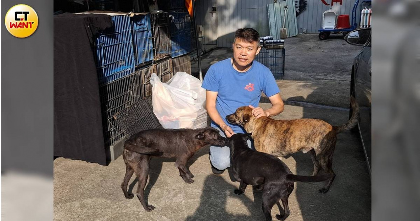 動野保團體互嗆1/愛媽怒轟假移除真撲殺 揭TNR、獵人大隊爭千萬資源