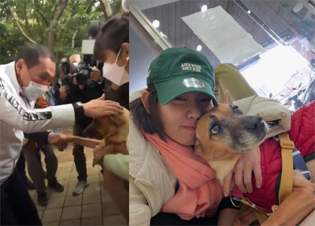 快新聞/曾被侯友宜叫錯逗樂眾人!米可白愛犬「錢錢」罹癌 他也集氣禱告