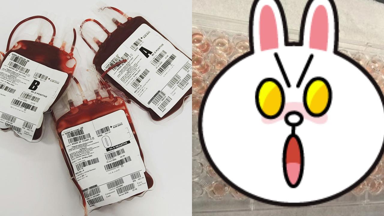 中國廣東血站驗出「罕見鑽石血」…出現機率竟比「熊貓血低百倍」超稀有!