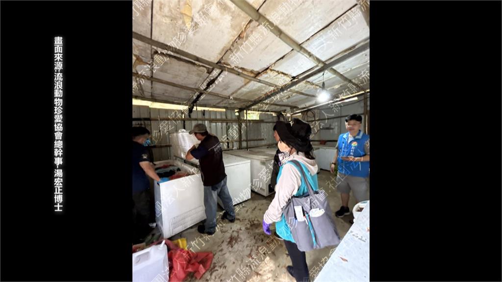 移工虐殺動物！　苗栗山區舊屋內藏800公斤動物肉塊