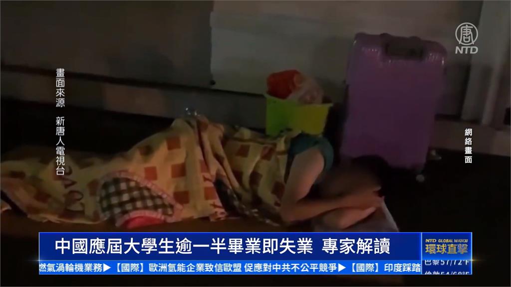 中國美化青年失業率14.7%？　實際僅48%畢業生被錄取
