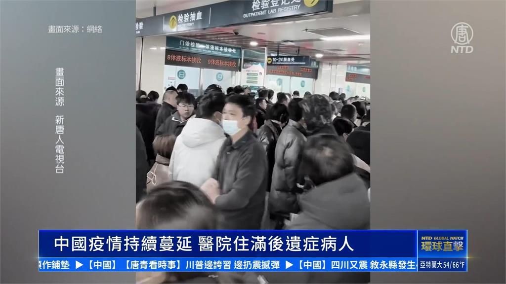 中國驚傳「人感染禽流感」　四川等地爆發不明原因豬瘟