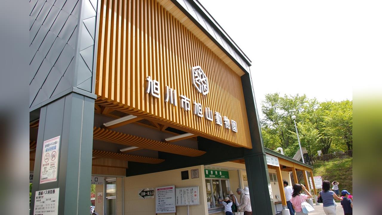 日本旭山動物園員工「殺妻焚屍」　擺脫命案陰霾　今重新開業遊客回籠