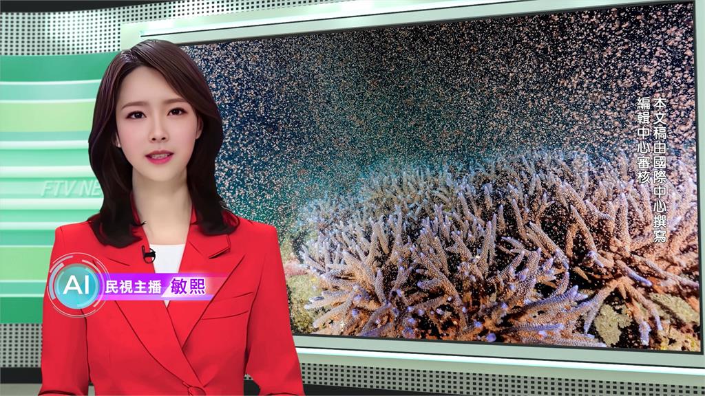 敏熙報氣象／澎湖珊瑚產卵大爆發　宛如海中粉紅夢幻星空